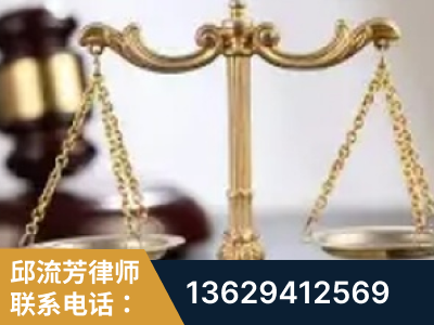 南充-委托诉讼代理人出庭